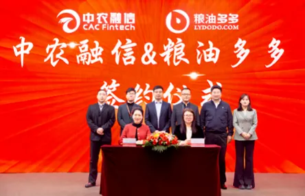 粮油多多与中农融信签署战略合作协议，共赋农业全产业链