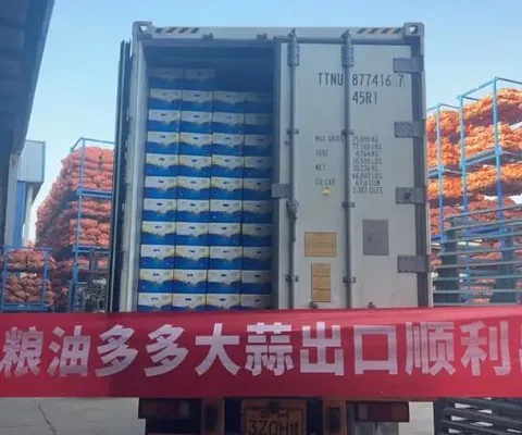 A lot of grain and oil GAPS achieved another success: domestic garlic successfully set sail in Kenya, opening a bright new chapter across borders.