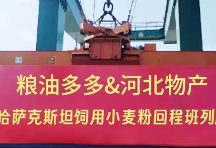 The New Year begins! Grain and Oil Duoduo Joins Hands with Hebei Products First Kazakhstan Feed Wheat Flour Train to Start Smoothly