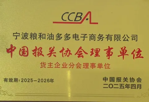 Congratulations! Liangyou Duoduo Elected as a Director Unit of the China Customs Brokers Association: Leveraging New-Generation Productive Forces to Drive Cross-Border Upgrading of Industrial Clusters
