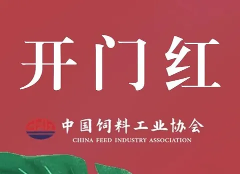 开门红！