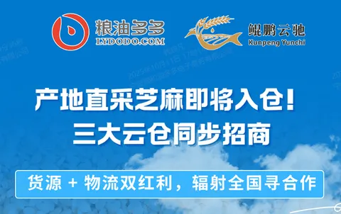 产地直采芝麻即将到仓！多多云仓：青岛 / 南通 / 东北云仓｜面向全国招商
