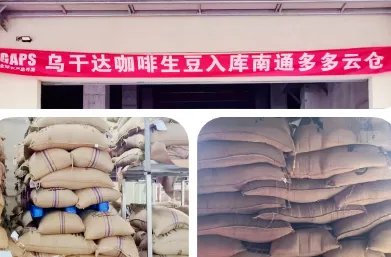 喜讯！粮油多多非洲咖啡豆顺利入库南通多多云仓