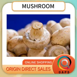 mushroom