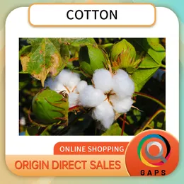 cotton