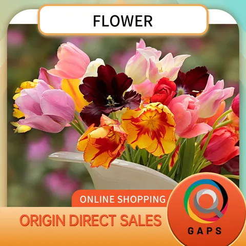 Fresh Flowers & Live Indoor Plants, Assorted Floral & Greenery Variety, Natural Home Decor, Perfect for Office, Wedding, Gift & Everyday Decoration