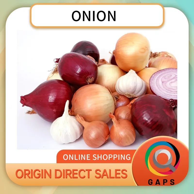 Fresh Yellow Onions, Premium Whole Onions, Farm Fresh, Flavorful & Nutritious, Ideal for Cooking, Stir-Fry, Soups, Roasting & Daily Kitchen Use