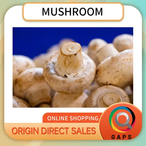 Vegetable - Fresh Mushrooms, Premium Quality Whole Mushrooms, Farm Fresh, Nutritious & Delicious, Ideal for Cooking, Stir-Fry, Soups, Salads & Daily Meals