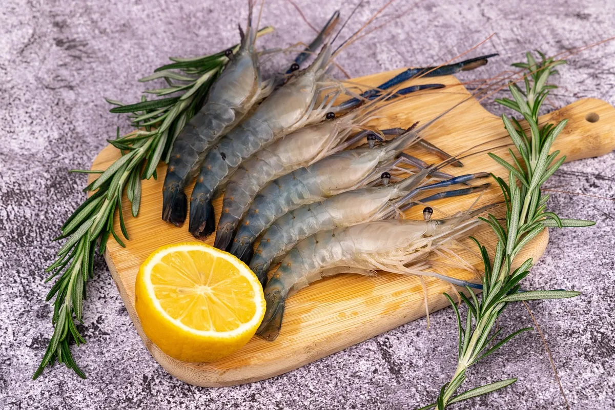 Aquatic Product Safe & Healthy Shrimp Species Ideal for Cooking & Catering