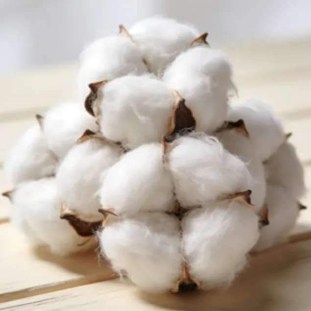 Cotton And Textiles Premium Natural Cotton, Soft & Breathable with No Harmful Chemicals, Suitable for Textiles, Home & Industrial Use