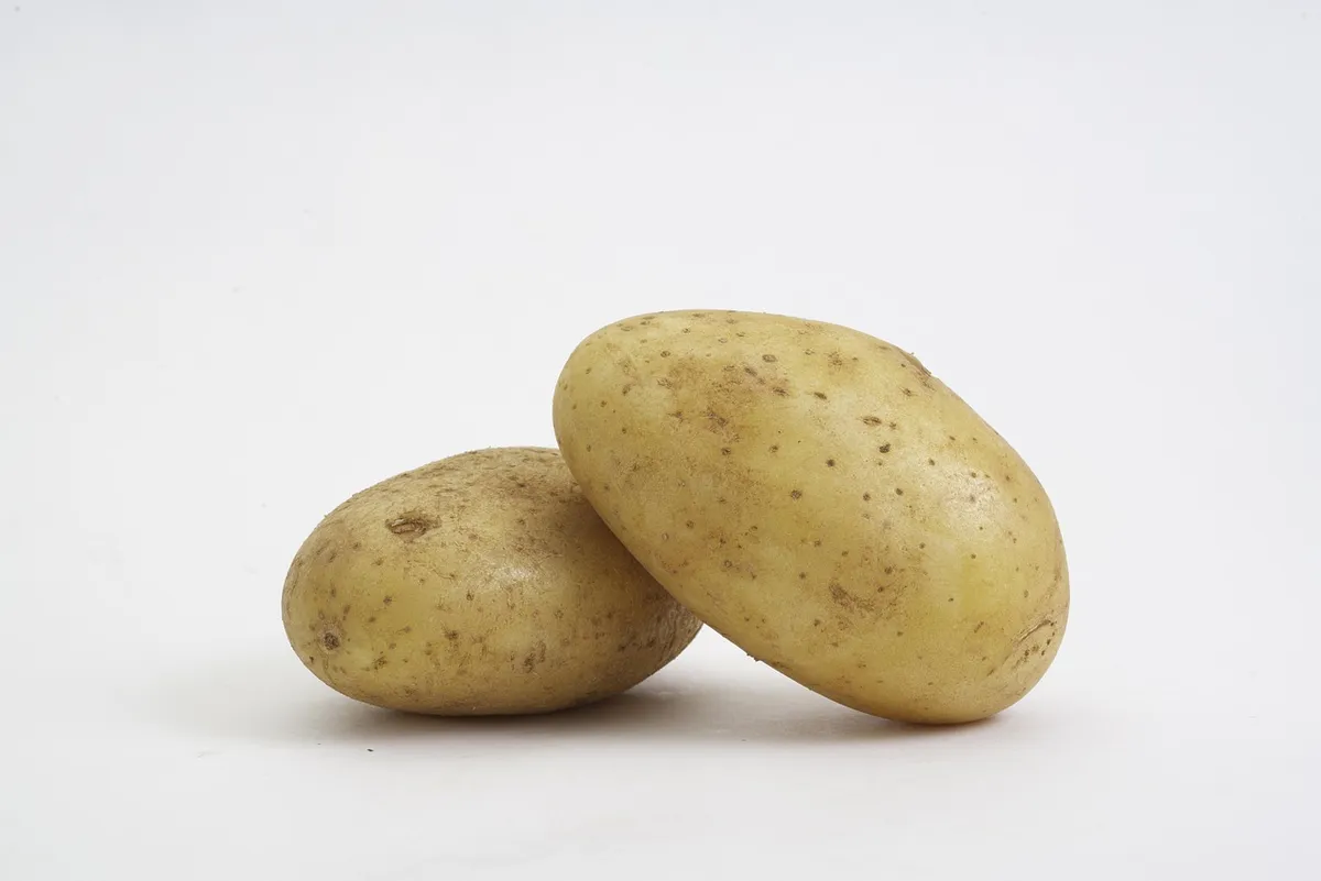 Natural Grown Potatoes, Nutritious & Delicious, Suitable for Wholesale & Retail