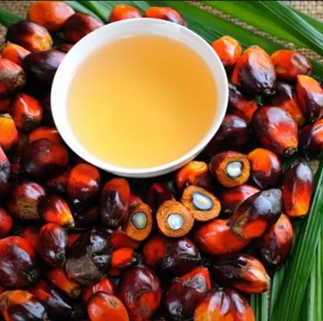 Premium RBD Palm Oil | Food Grade | Non-GMO | High Heat Stability Cooking Oil
