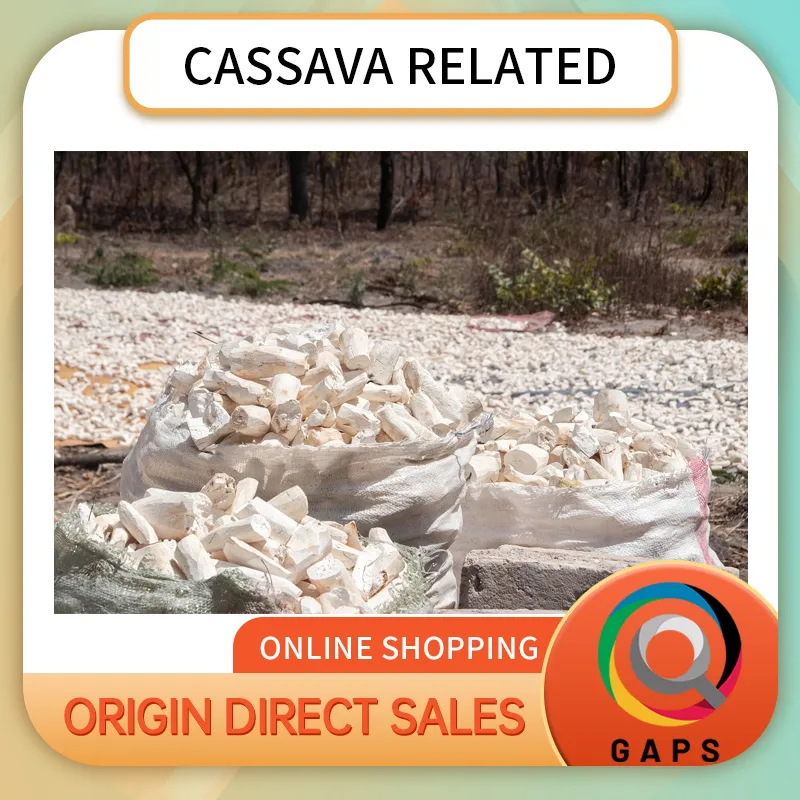 Cassava And Its Products, Plump & Tender with No Pesticides, Suitable for Boiling, Steaming & Catering