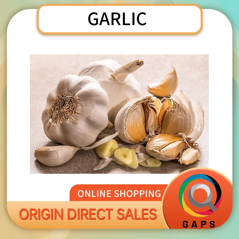 Fresh Garlic Bulbs, Premium Whole Garlic, Naturally Grown, Fragrant & Flavorful, Ideal for Cooking, Seasoning, Baking & Daily Kitchen Use