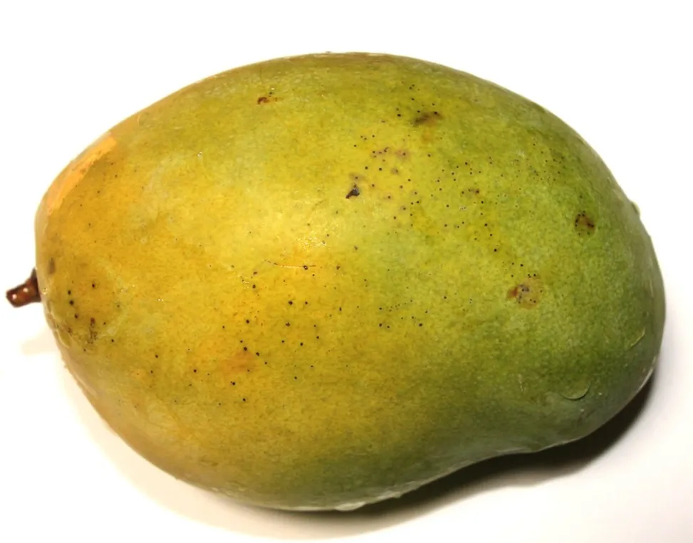 Fresh Mangoes, Ripened Naturally Sweet Juicy Tropical Fruit, Non-GMO, Perfect for Smoothies, Desserts, Snacks and Daily Use