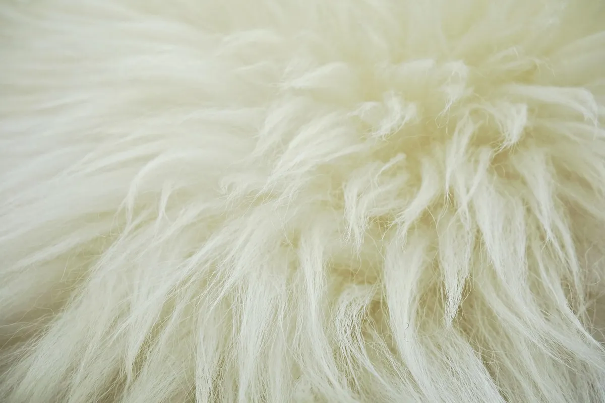 African wool is a high-quality natural fiber sourced from selected sheep raised in the natural pastures of Africa