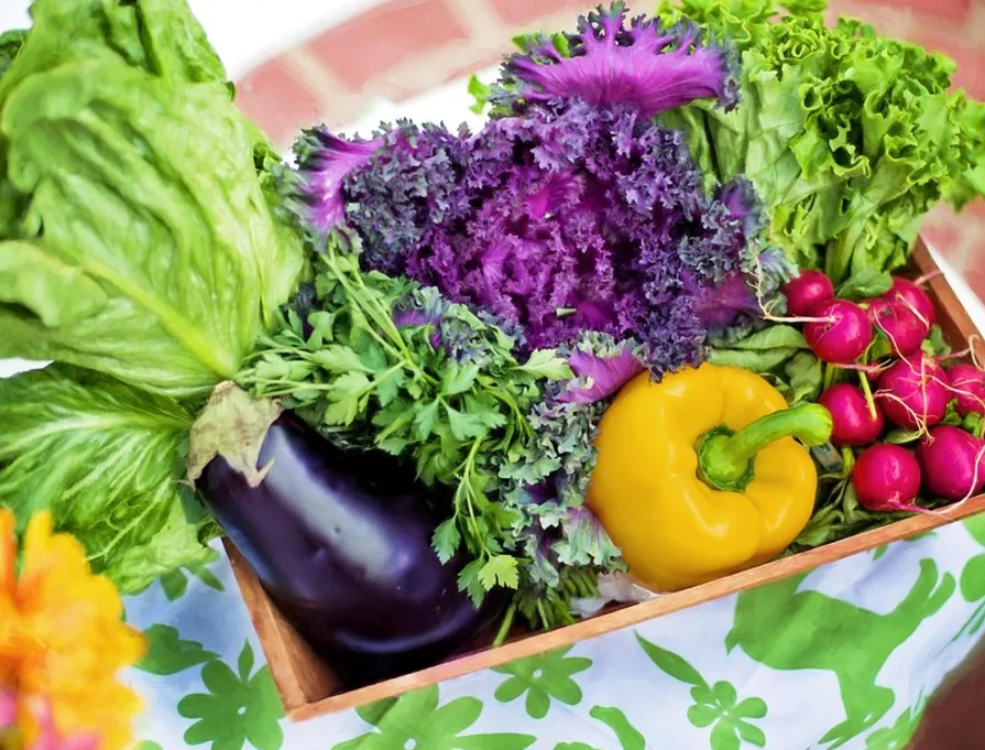 Fresh Mixed Vegetables, Premium Quality Farm Fresh Produce, Non-GMO, Nutrient-Rich, Ideal for Cooking, Stir-Fry, Salads & Daily Meals