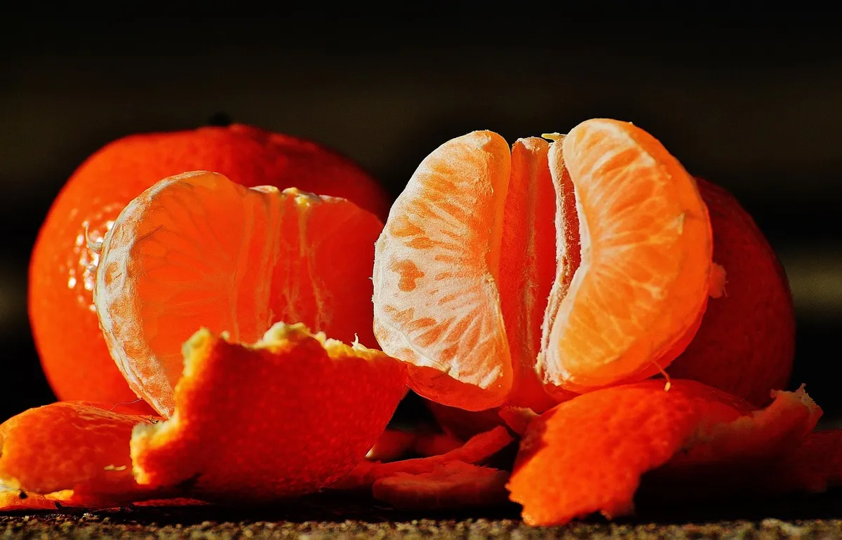 Fresh Citrus with Rich Color & Sweet Taste High-Quality Citrus Fruits