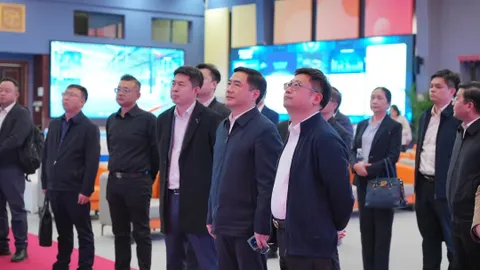 政企协同，深耕产业 | 柳州市与西双版纳州领导莅临IBI考察访问