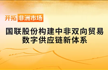 开拓非洲市场：IBI为中非双边贸易构建全新数字供应链体系